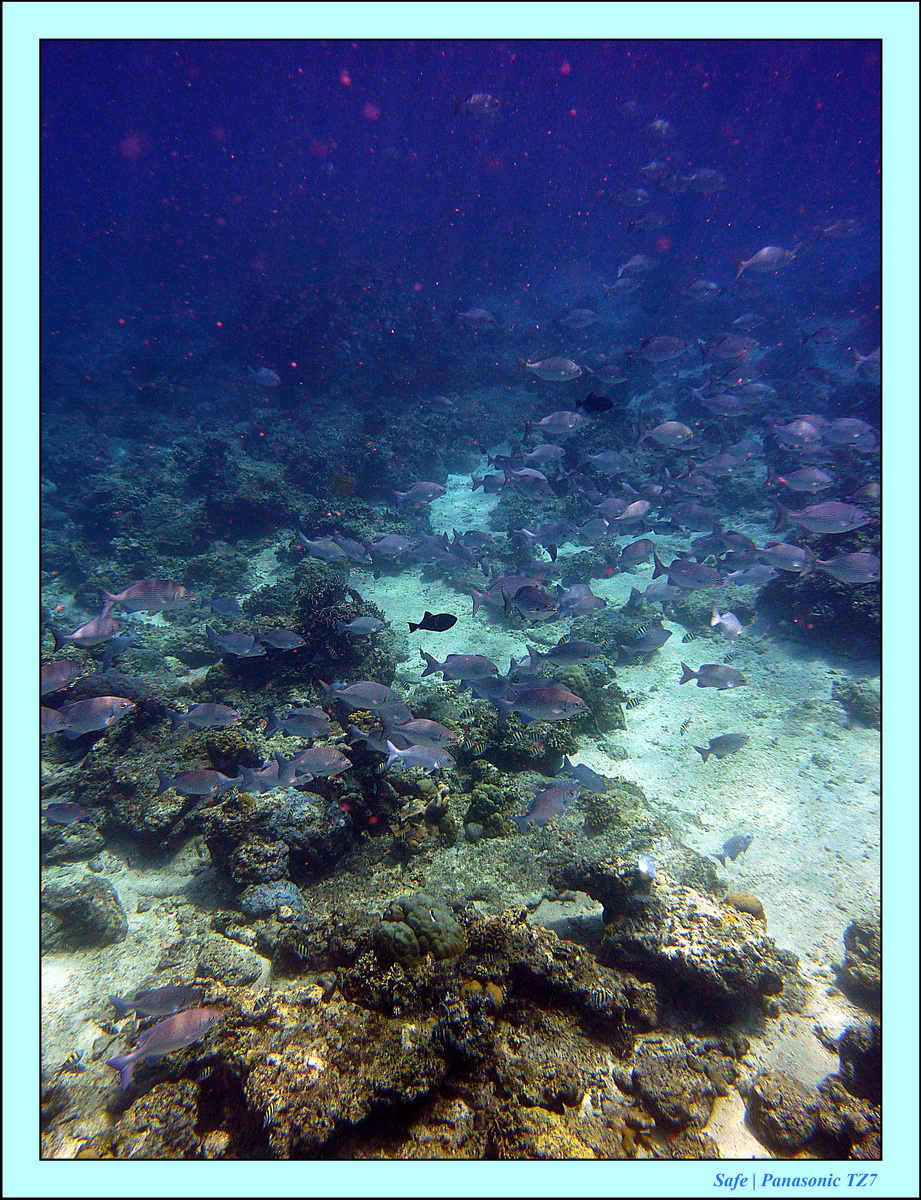 2012 - 07 - Gili - 93